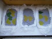 Ekologický workshop